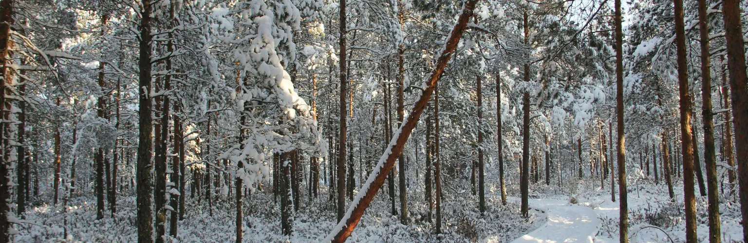  Avoimet työpaikat, Etelä-Pohjanmaa