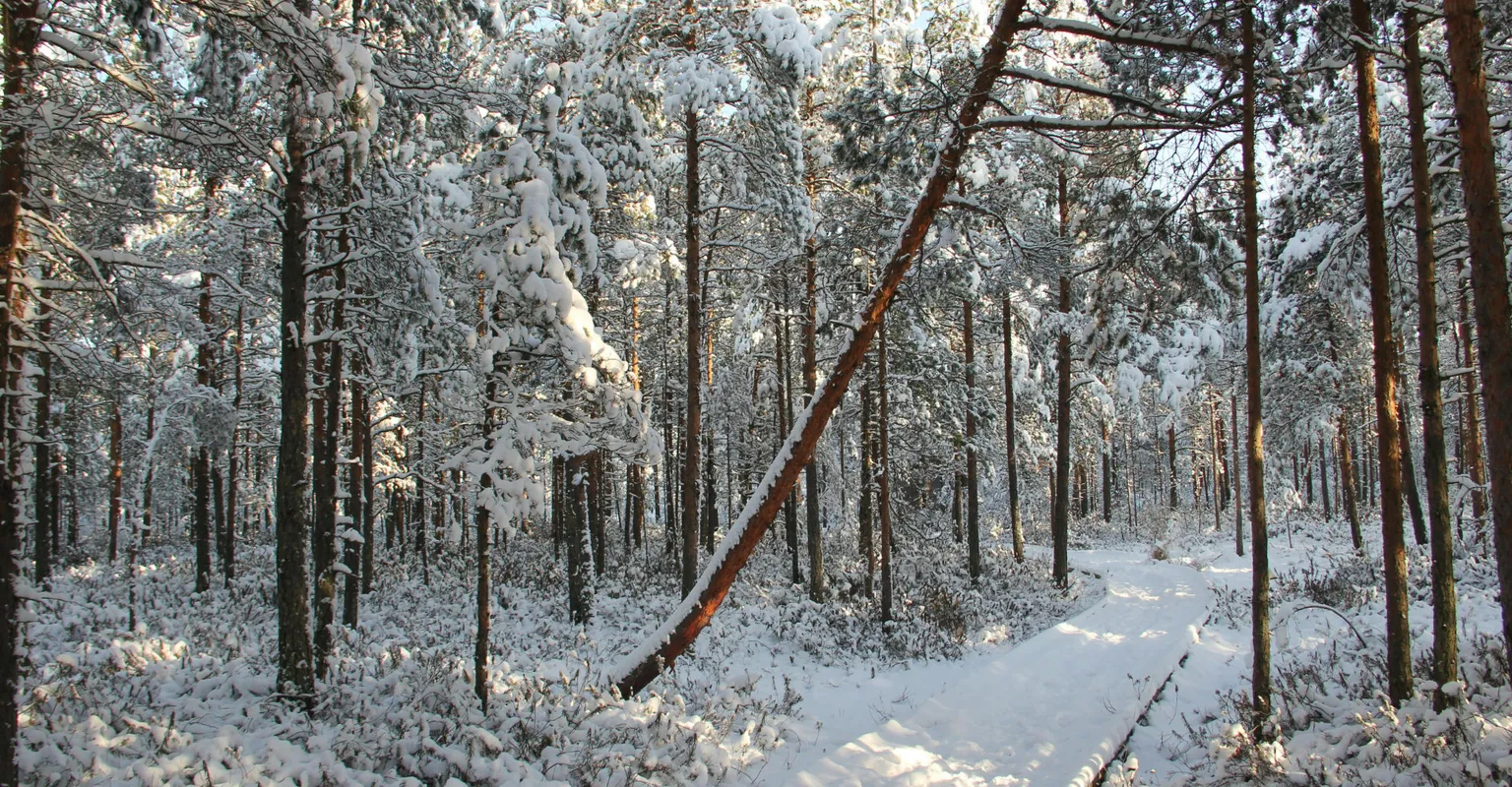  Avoimet työpaikat, Etelä-Pohjanmaa