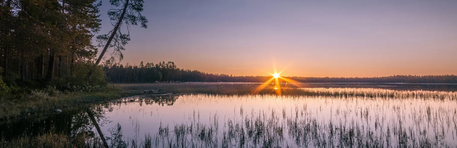  Avoimet työpaikat, Kainuu