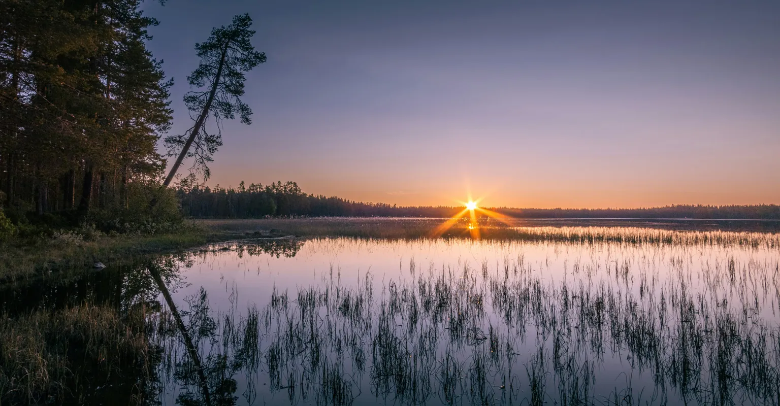  Avoimet työpaikat, Kainuu