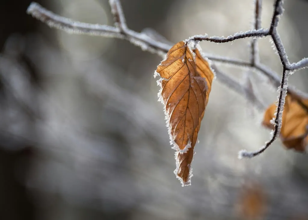 Meiltä löytyy osaajia eri aloille