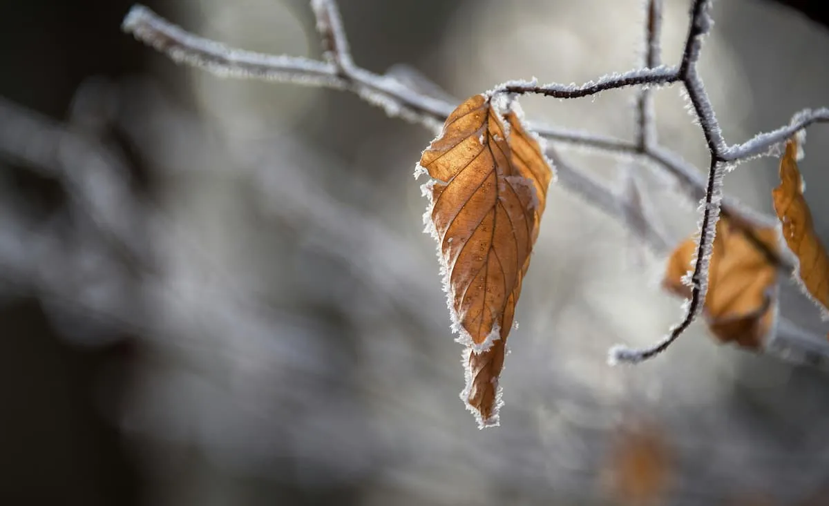 Meiltä löytyy osaajia eri aloille